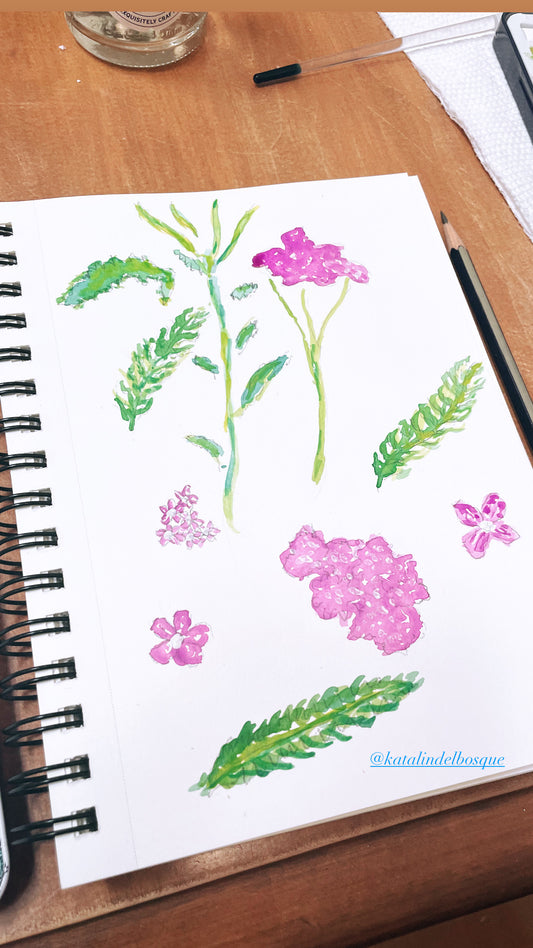 New Mexico Wildflowers with Watercolor ~ Saturday 8/23, 1-4pm