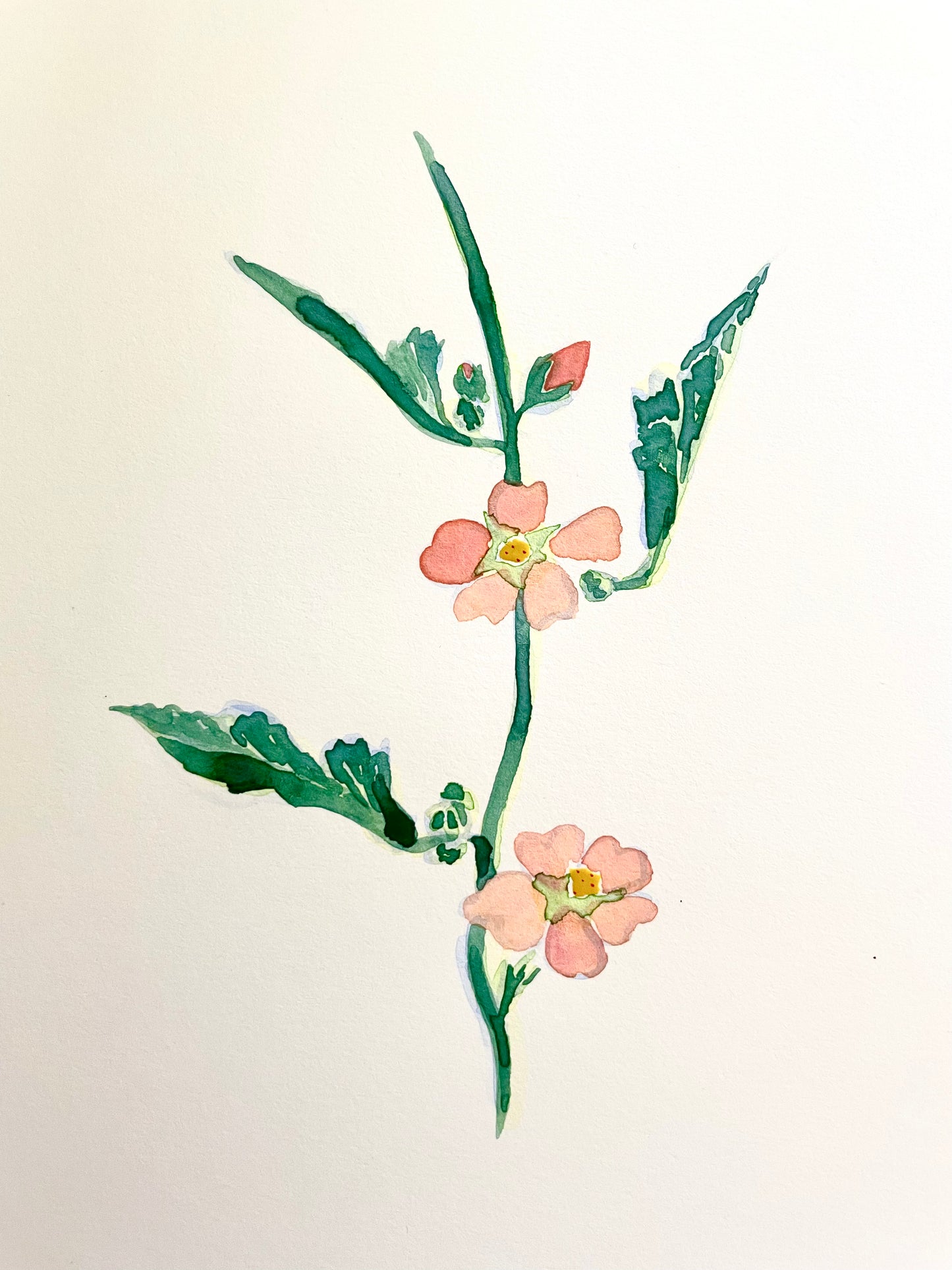 New Mexico Wildflowers with Watercolor ~ Saturday 8/23, 1-4pm
