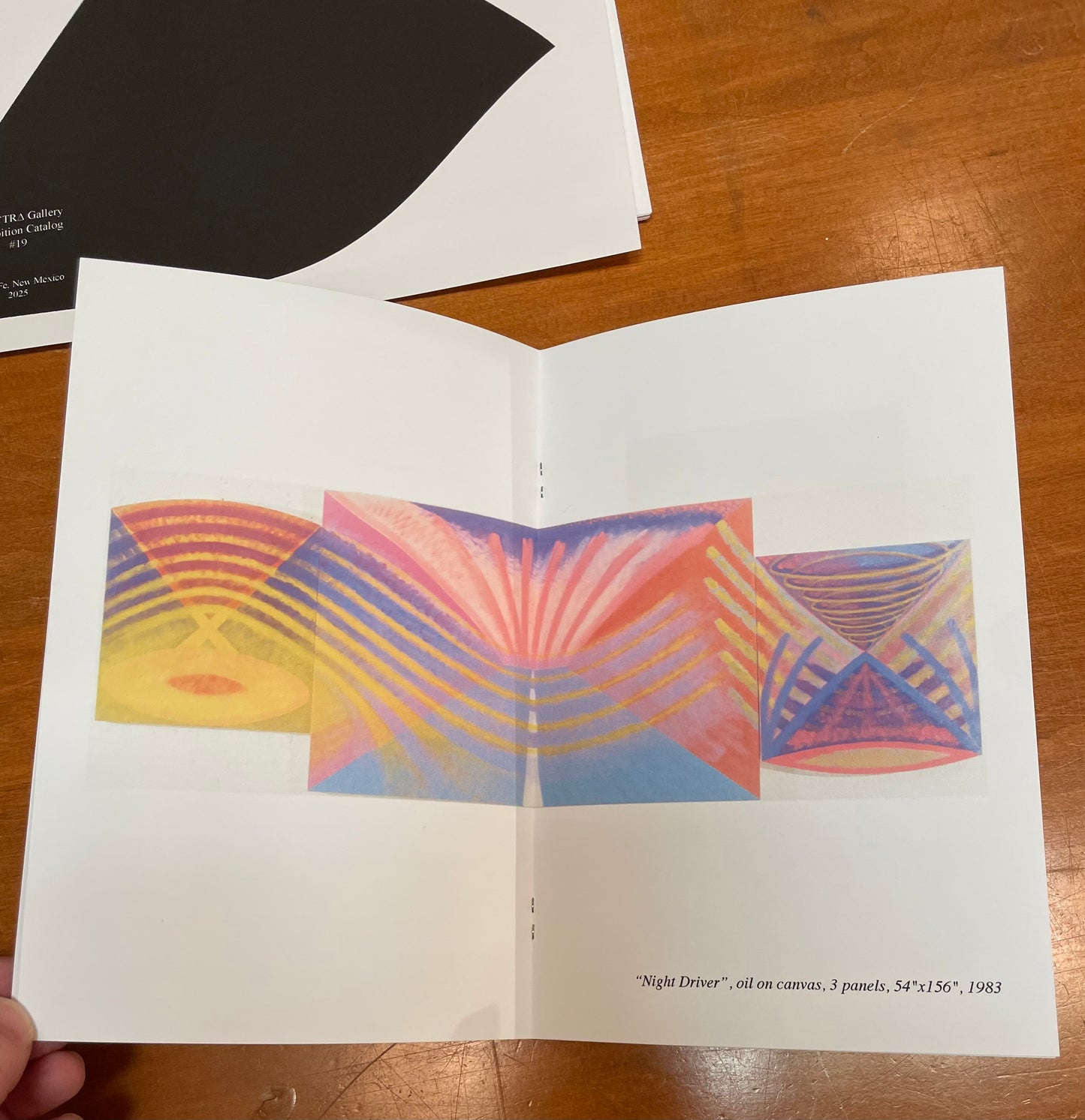 Gail Buono: Eyewitness - The UFO Paintings - Catalog