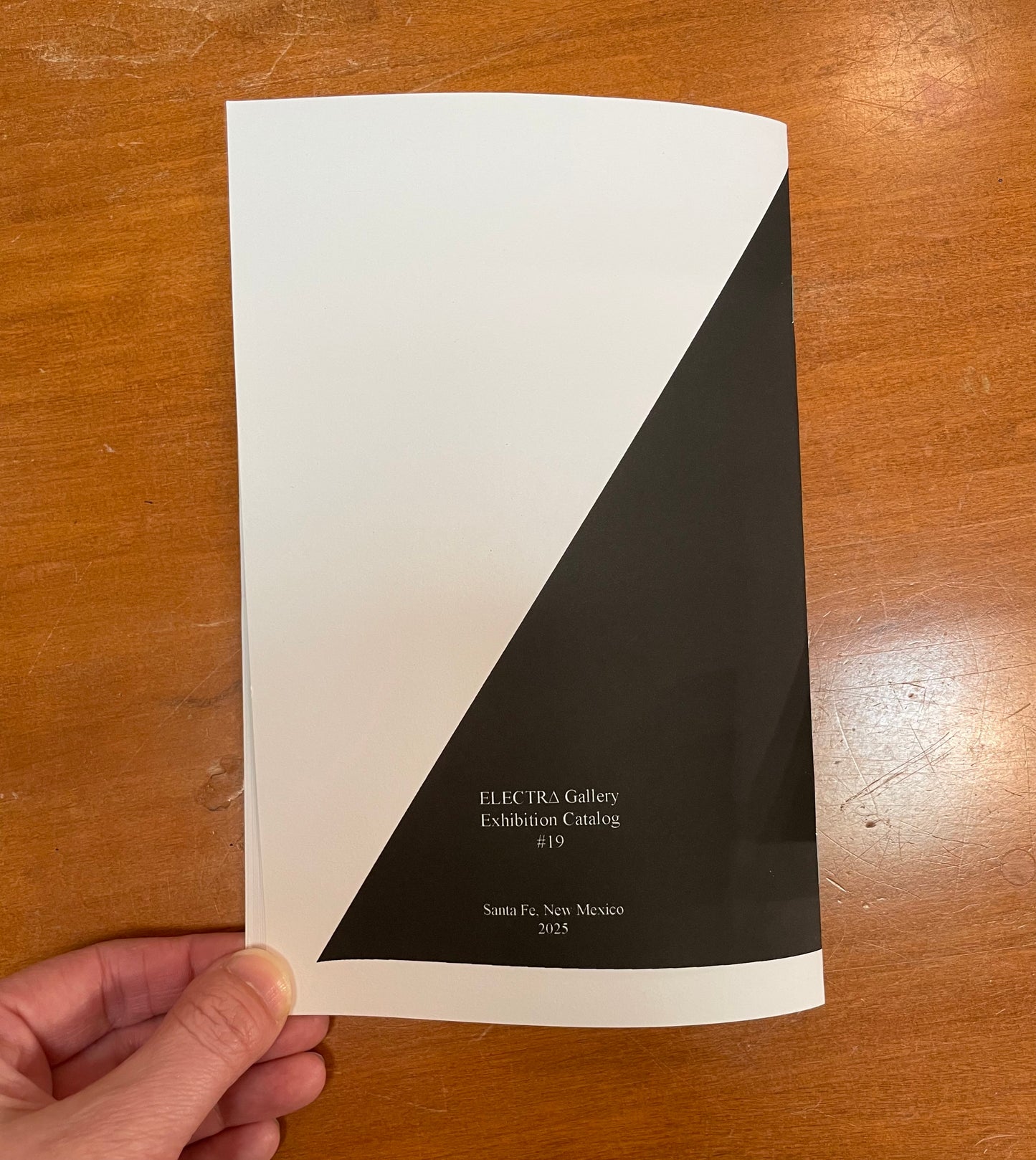 Gail Buono: Eyewitness - The UFO Paintings - Catalog