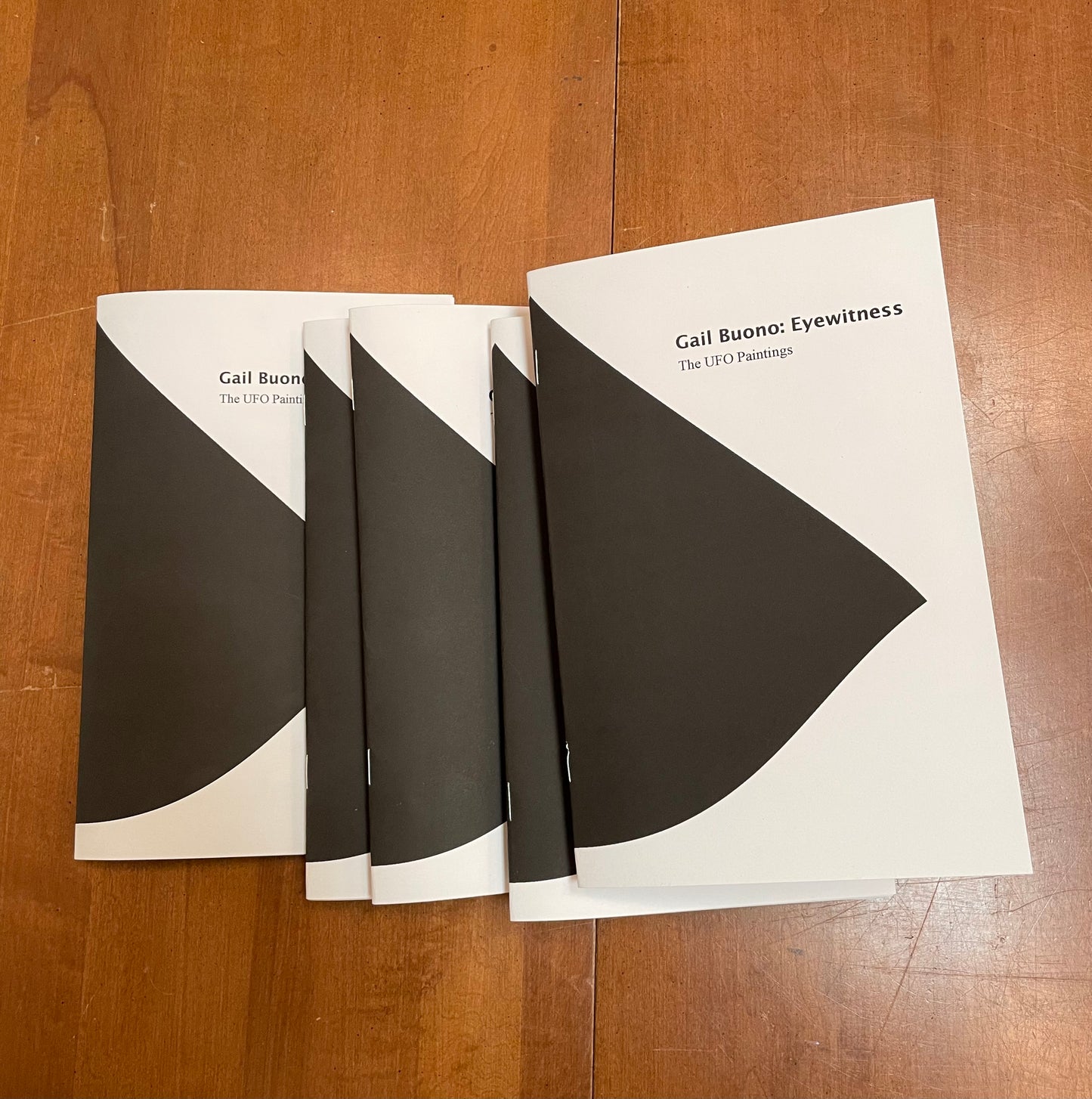 Gail Buono: Eyewitness - The UFO Paintings - Catalog