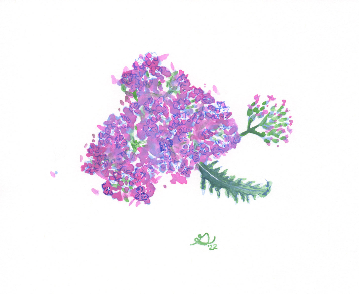 New Mexico Wildflowers with Watercolor ~ Saturday 8/23, 1-4pm