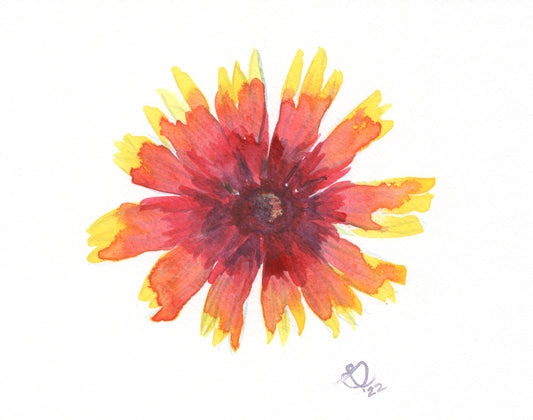 New Mexico Wildflowers with Watercolor ~ Saturday 8/23, 1-4pm