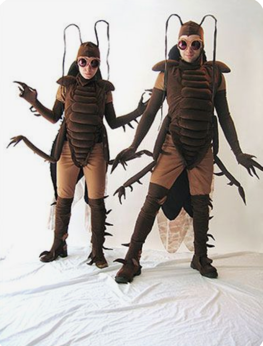 Bug Ball Costume Club - Tuesdays, 6 - 8pm, 9/1 - 10/27
