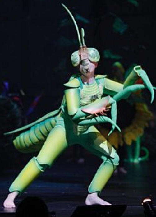 Bug Ball Costume Club - Tuesdays, 6 - 8pm, 9/1 - 10/27