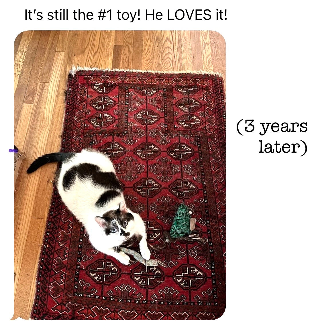 Magic Mouse Cat Toy and Spell Crafting! Saturday, December 13th, 1-4pm