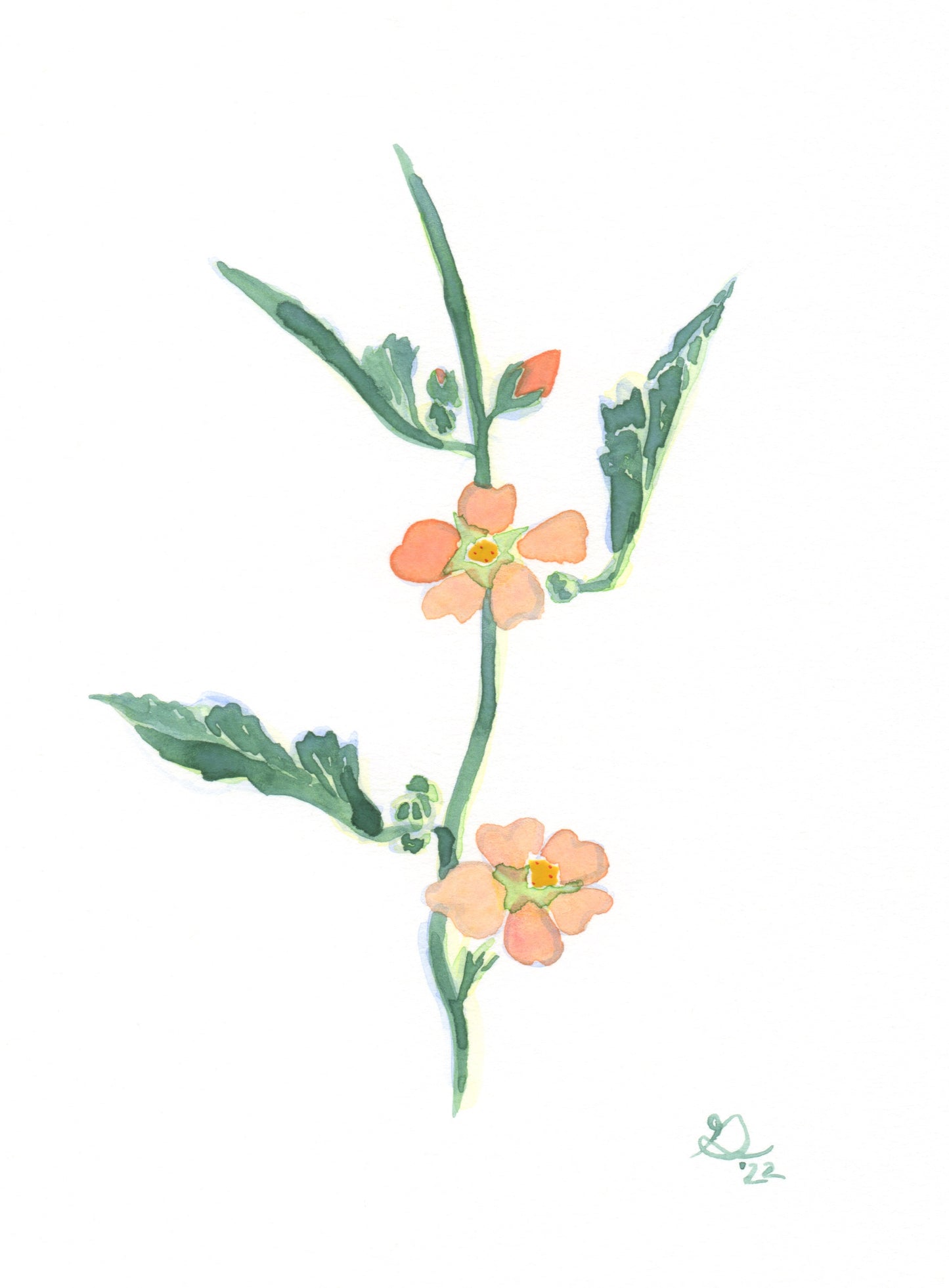 For The Love of Flowers - Friday Class ~ 12 - 1pm