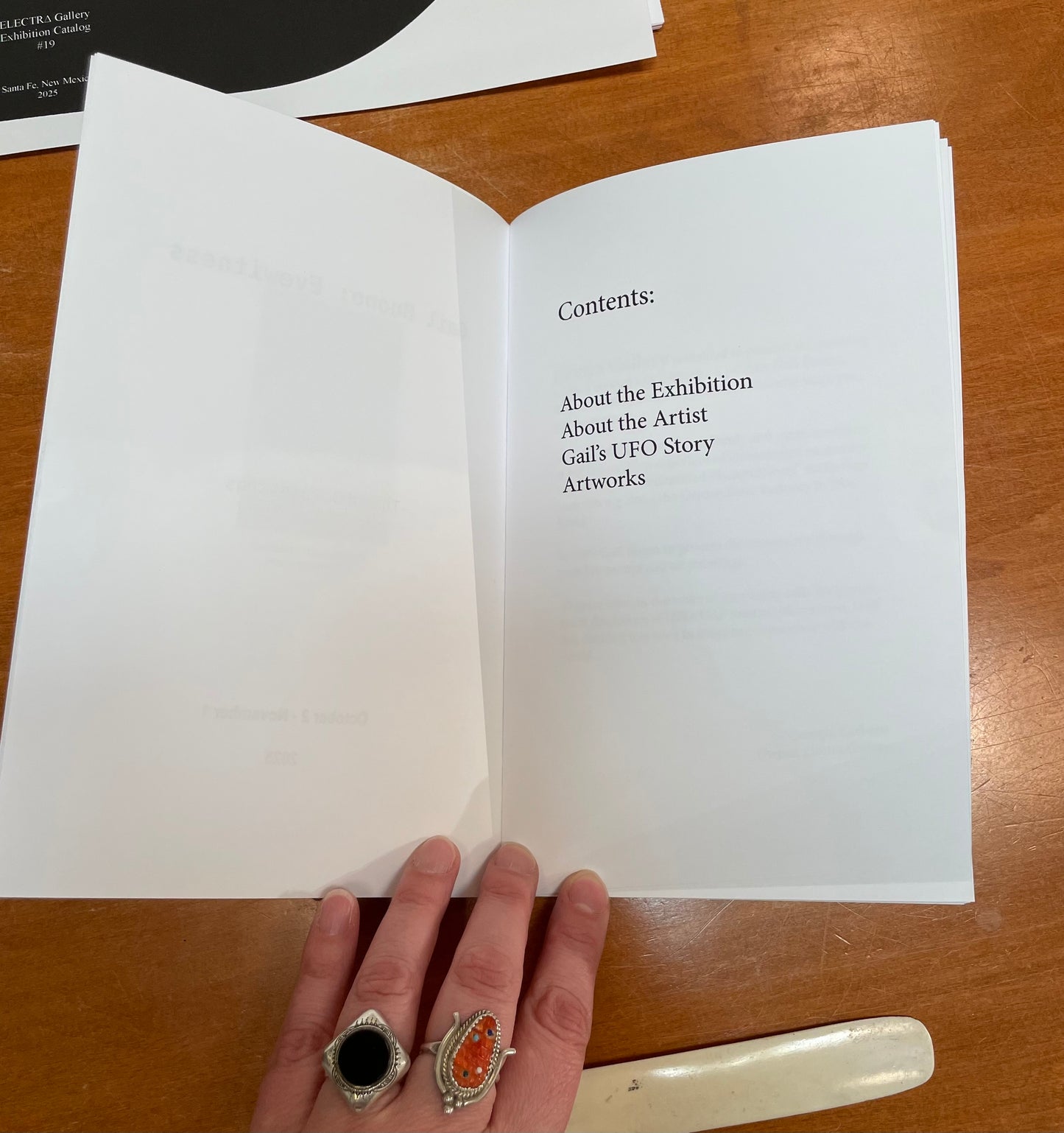 Gail Buono: Eyewitness - The UFO Paintings - Catalog