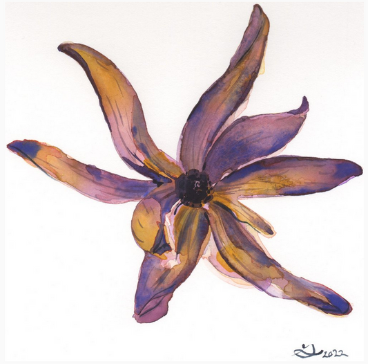 For The Love of Flowers - Friday Class ~ 12 - 1pm