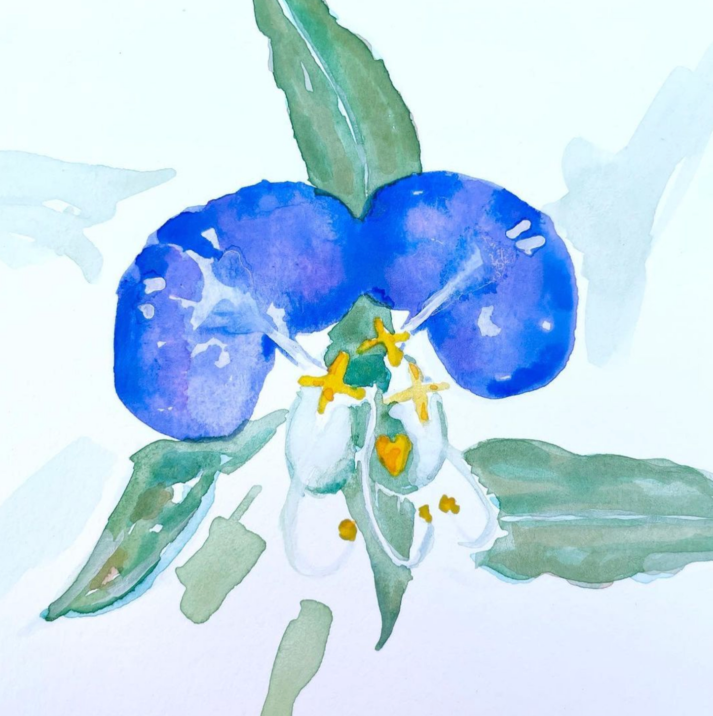 For The Love of Flowers - Friday Class ~ 12 - 1pm