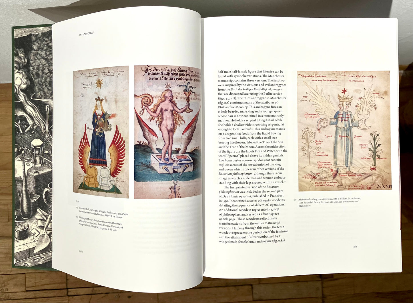 The Alchemical Feminine - M.E. Warlick